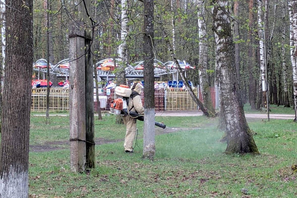 В Иванове очистили от клещей все городские парки 